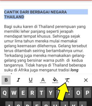Cara mempercantik tulisan di gmail dengan pemformatan font dan warna 10 Proses mengurungkan tindakan
