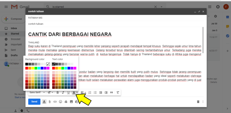 Cara mempercantik tulisan di gmail dengan pemformatan font dan warna 14 Pilihan format warna gmail di destop