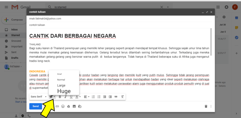 Cara mempercantik tulisan di gmail dengan pemformatan font dan warna 17 Pilihan font size gmail di destop