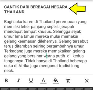 Cara mempercantik tulisan di gmail dengan pemformatan font dan warna 5 Contoh penggunaan efek bold di email