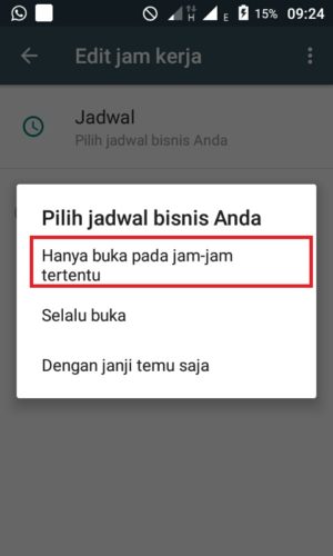 Cara membuat pesan balasan otomatis di Whatsapp 7 tiga opsi yang dapat dipilih untuk mengatur jadwal bisnis