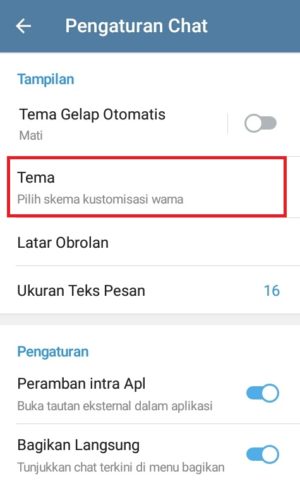 Cara mengganti tema di Telegram (buat sendiri atau download) 3 Memilih "Tema" untuk mengubah pengaturan tema