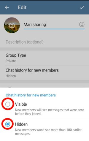 Cara buat dan setting group di Telegram 16 chat history for new members