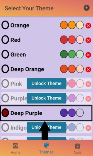 Cara mengganti warna tema Instagram 4 "Unlock theme" untuk membuka kunci tema sebelum digunakan