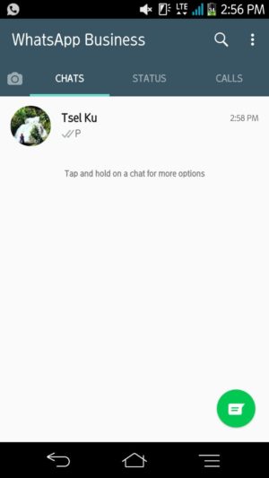 Cara menggunakan 2 akun WhatsApp dalam 1 HP 6 Laman chat whatsapp bisnis