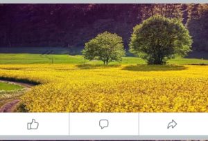 Ukuran foto di facebook untuk foto profil, sampul, cover acara, grup, dll 15 gambar ukuran 1200 x 504 px
