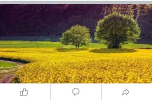 Ukuran foto di facebook untuk foto profil, sampul, cover acara, grup, dll 16 gambar ukuran 1200 x 470 px