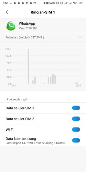 Whatsapp web tidak bisa dibuka? Susah koneksi? Ini solusinya 10 Aktifkan Latar Belakang