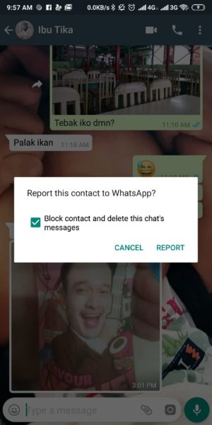 Apa itu report spam di whatsapp? Bagaimana cara membatalkannya? 10 Pilih Report