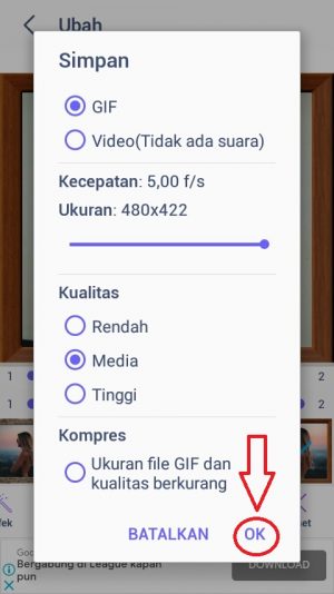 Cara membuat GIF di WhatsApp (dari foto atau video sendiri) 19 Pilih OK