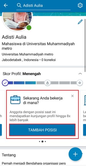 Apa itu LinkedIn? Bagaimana cara mendaftar di LinkedIn? 17 Menambahkan pengalaman pekerjaan
