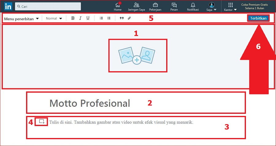 Apa itu artikel LinkedIn? Bagaimana cara membuatnya? 4 Berbagai macam tools yang mendukung untuk pembuatan artikel di LinkedIn
