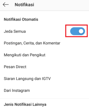 Cara mematikan notifikasi Instagram untuk sementara waktu 9 icon sudah aktif berwarna biru