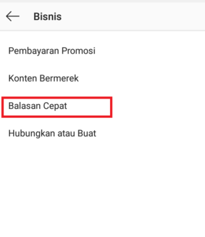 Cara menggunakan fitur "Balasan Cepat" di Instagram 12 pilih fitur balasan cepat