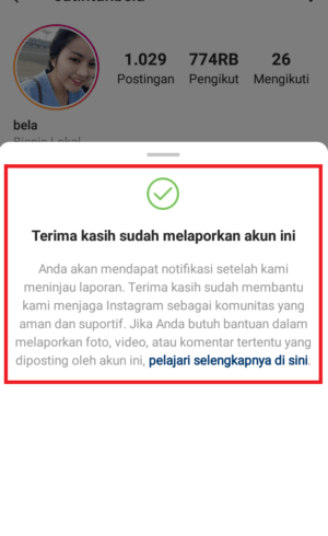 Cara melaporkan Spam & Akun Palsu di Instagram 25 pemberitahuan konfirmasi