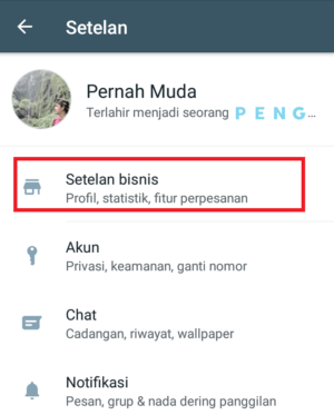 Cara membuat Katalog di WhatsApp Bisnis 6 Cara membuat Katalog di WhatsApp Bisnis 5