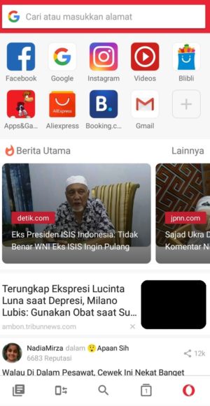 7 Browser Terbaik untuk Android 8 Antarmuka Opera Browser