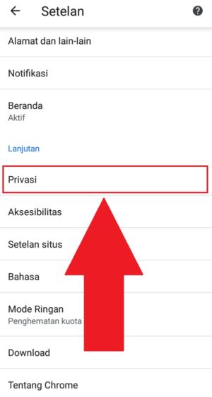 Apa itu cookies dan cache? Apa bedanya? 3 Pilih "privasi" untuk mencari data penjelajahan
