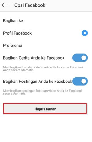 Cara menghubungkan Instagram ke Facebook 10 Opsi tautan