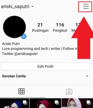 Cara menghubungkan Twitter ke Instagram 2 Halaman profil Instagram