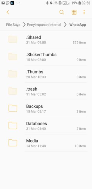 Cara download status (foto dan video) di WhatsApp 6 file berhasil di Unhide