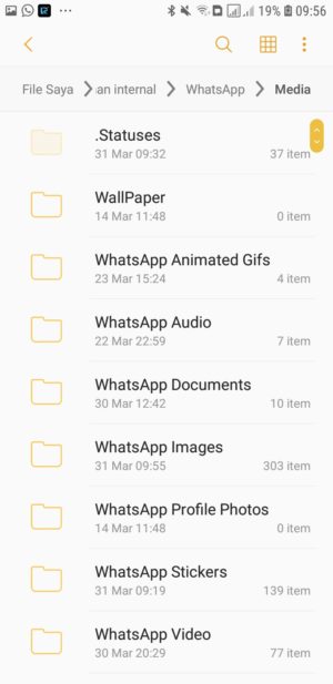 Cara download status (foto dan video) di WhatsApp 7 Pilih Statuses