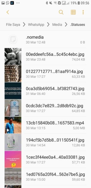 Cara download status (foto dan video) di WhatsApp 8 List status Video Whatsapp