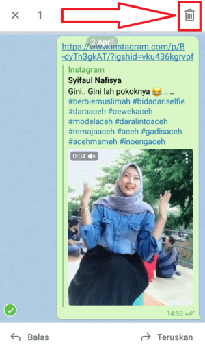 Cara download video Instagram dengan Telegram 14 klik hapus untuk hapus video pesan