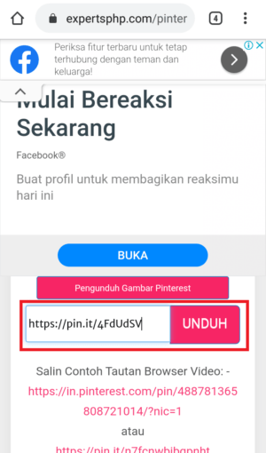 Cara download video di Pinterest 7 masukan link dan unduh
