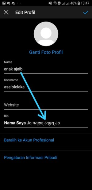 Cara mengganti jenis tulisan (font) di Bio Instagram 6 masukkan text ke bagian biodata