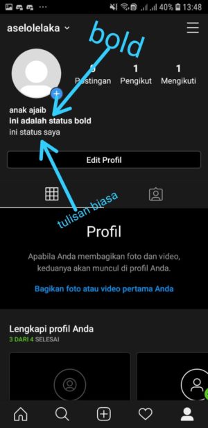 Cara mengganti jenis tulisan (font) di Bio Instagram 8 biodata dengan text bold berhasil ditambahkan