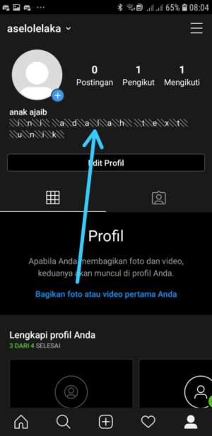 Cara mengganti jenis tulisan (font) di Bio Instagram 22 Text Unik Berhasil ditambahkan