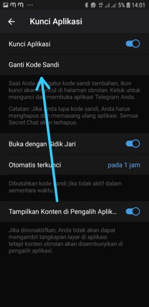 Cara mengunci telegram dengan PIN 12 Cara mengunci telegram dengan PIN 11