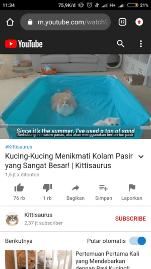 Cara mengatasi youtube error saat memutar video 6 putar video