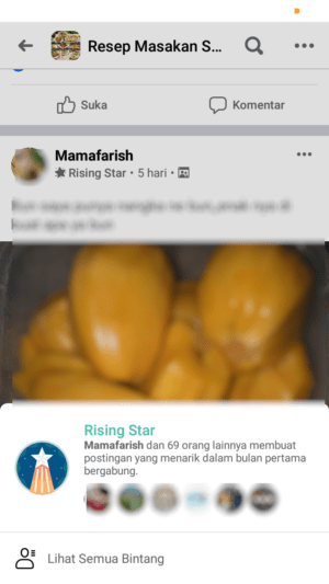 Jenis dan arti dari tiap Lencana di Facebook 4 lencana rising star di grup facebook