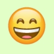 Arti dari 45 emoticon di WhatsApp 8 Arti dari 45 emoticon di WhatsApp 7