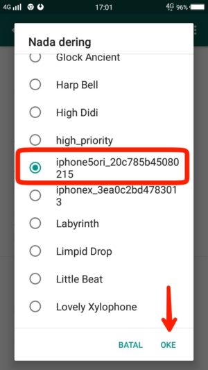 Cara mengganti nada dering WhatsApp (bisa dengan lagu/mp3) 48 Cara mengganti nada dering WhatsApp (bisa dengan lagu/mp3) 47