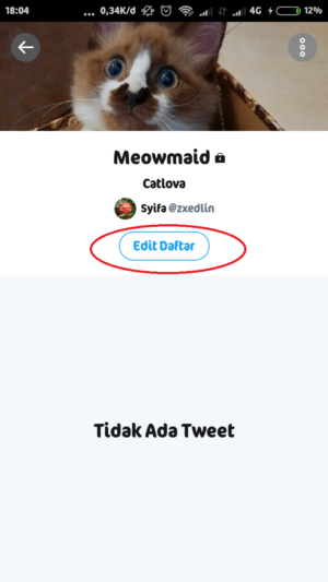 Cara membuat (dan menggunakan) fitur list di Twitter 9 tap edit daftar
