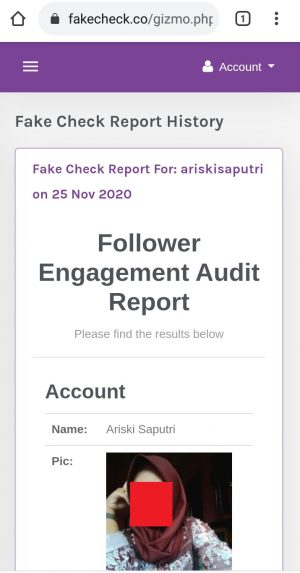 Cara cek followers Instagram asli atau palsu 8 Tampilan halaman hasil audit Instagram