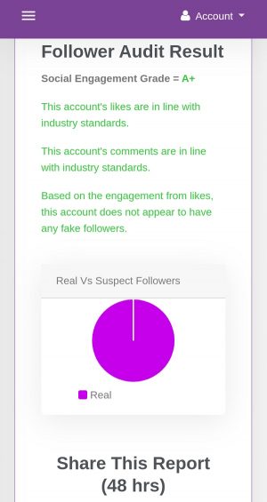 Cara cek followers Instagram asli atau palsu 9 Hasil audit followers