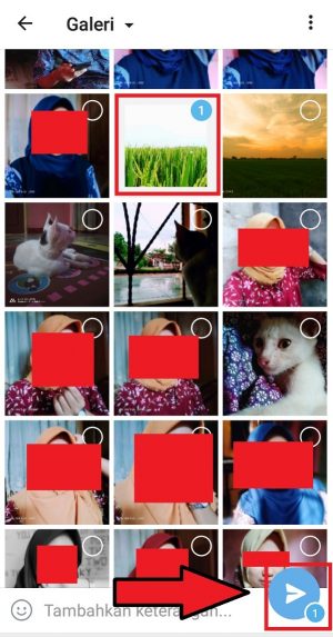 Cara mengirim foto di Telegram (bisa tanpa penurunan kualitas) 3 Pilih tombol kirim untuk mengirimkan gambar