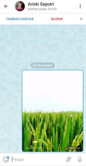 Cara mengirim foto di Telegram (bisa tanpa penurunan kualitas) 4 Ceklis satu artinya Pesan telah terkirim