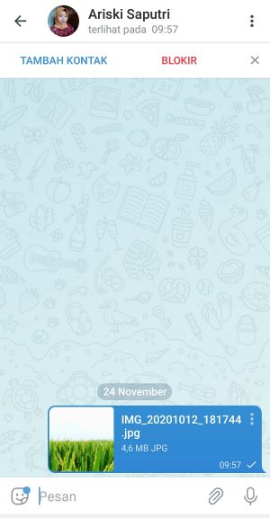 Cara mengirim foto di Telegram (bisa tanpa penurunan kualitas) 9 Gambar berhasil terkirim dalam bentuk file