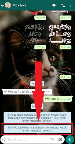 Cara mengaktifkan pesan sementara di WhatsApp 11 halaman pemberitahuan fitur telah mati