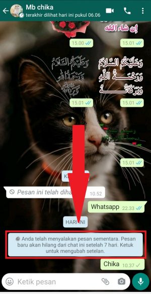 Cara mengaktifkan pesan sementara di WhatsApp 7 klik notifikasi fitur