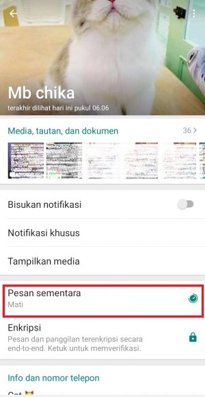 Cara mengaktifkan pesan sementara di WhatsApp 3 tap icon pesan sementara