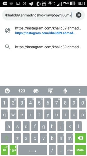 Cara download foto profil Instagram ukuran penuh 3 paste URL profil di browser