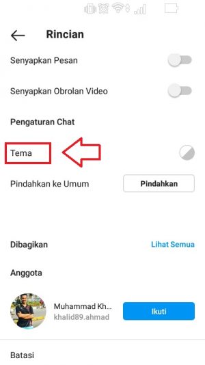 Cara Mengganti Tema DM Instagram 3 pilih menu tema