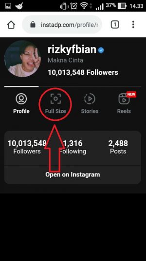 Cara download foto profil Instagram ukuran penuh 8 pilih full size