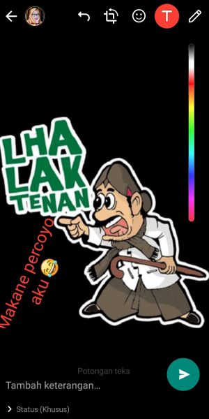 Cara membuat Status WhatsApp dengan Stiker (panduan pemula) 14 Tampilan setelah ditambahkan teks ke stiker